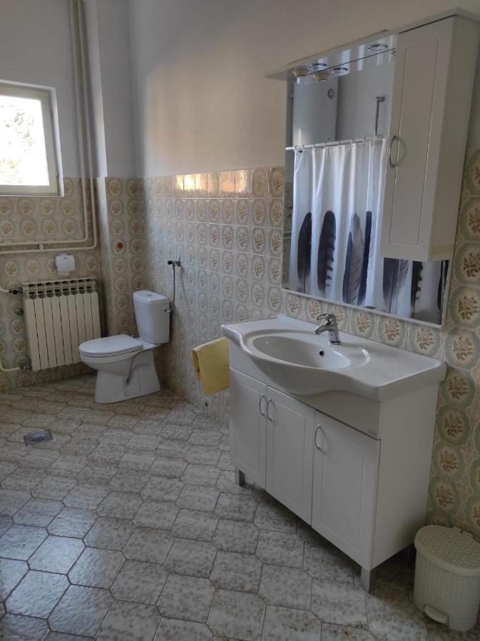 Apartman Vlado Zadar Eksteriør bilde