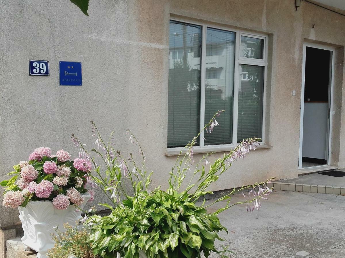 Apartman Vlado Zadar Eksteriør bilde