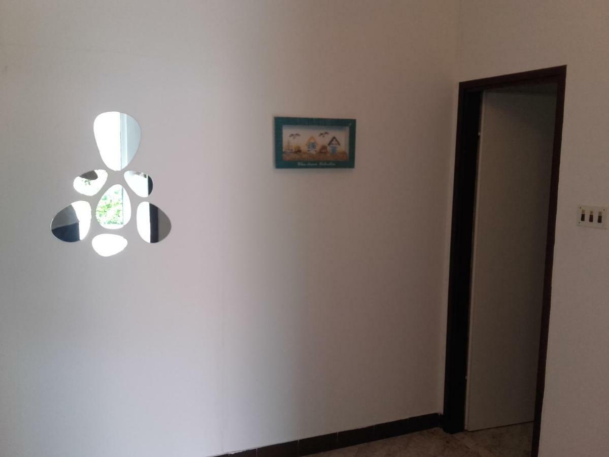Apartman Vlado Zadar Eksteriør bilde